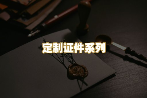 定制证件系列